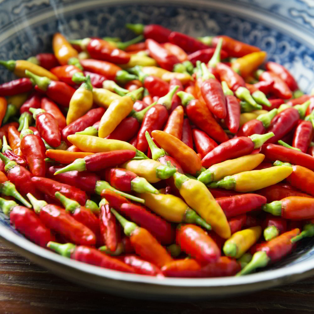 Thompson and Morgan Chilli Pepper Hot Collection Plant Pot 9cm 6 Pack Image 2