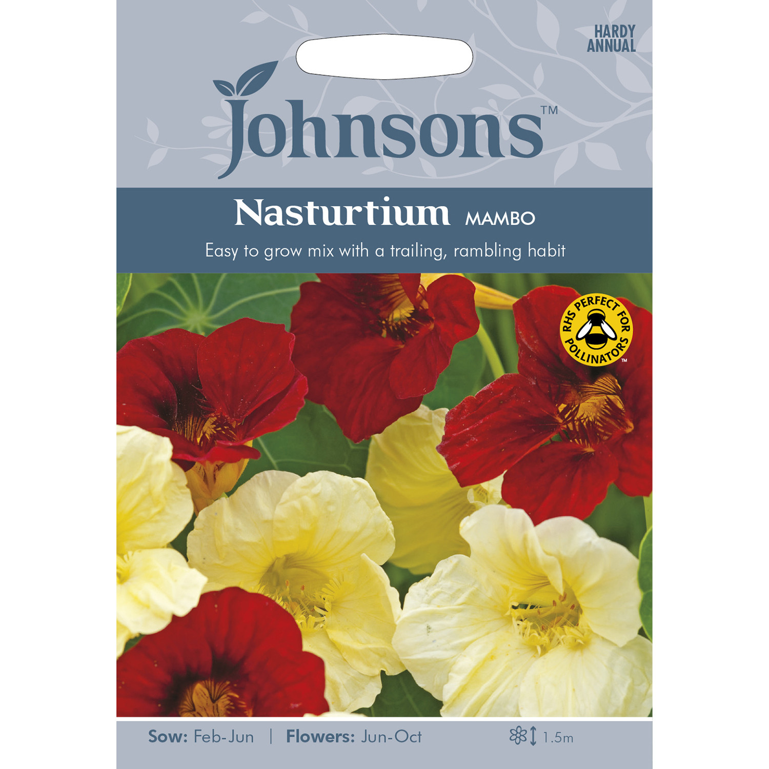 Johnsons Nasturtium Mambo Flower Seeds Image 2
