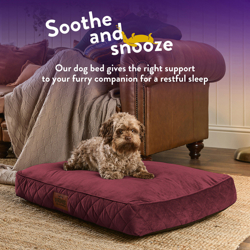 Slumberdown Medium Burgundy Padded Pet Bed Image 4