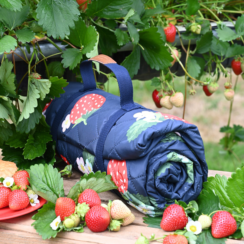 Summerhouse by Navigate Navy Strawberries and Cream Quilted Picnic Blanket 175 x 140cm Image 2