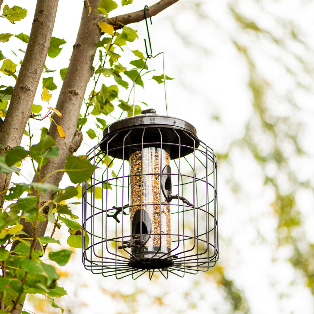 Thompson and Morgan Happy Beaks Premium Squirrel Proof Seed Feeder Image 5