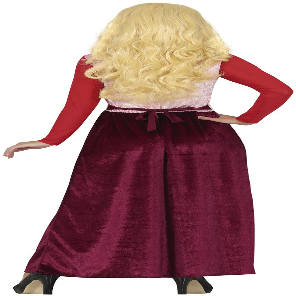 Fiestas Guirca Adult Sister Witch Red Halloween Costume Medium Image 3