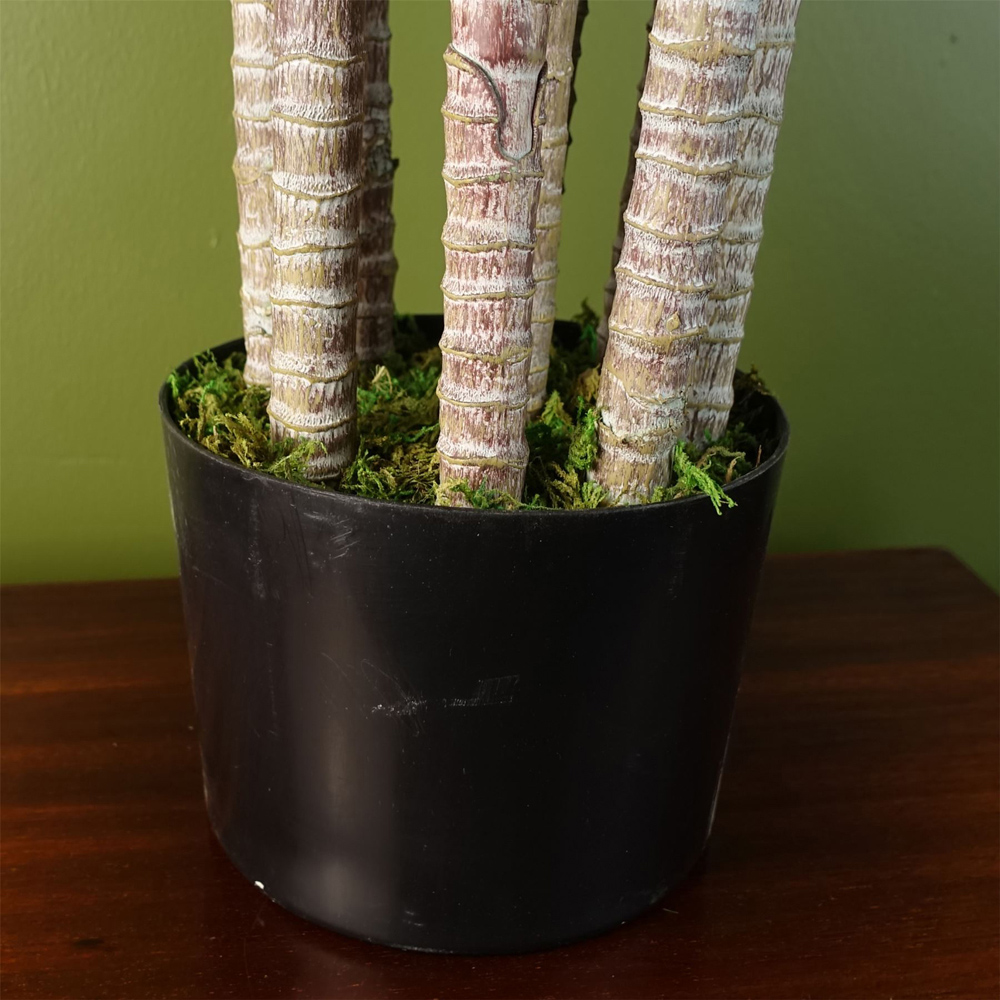 Botanik Green Jade Shrub Artificial Plant in Pot 75cm Image 5