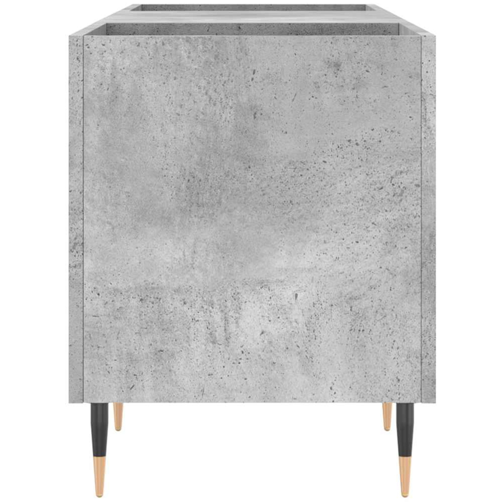 vidaXL 2 Shelf Concrete Grey Record Cabinet Image 5