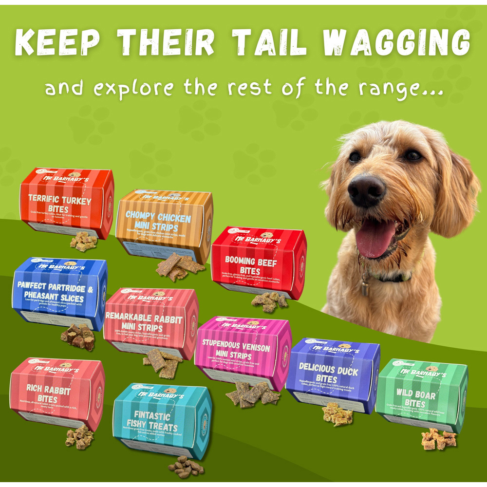 Mr Barnaby's Meaty Mini Strips Dog Treats Bundle 4 Pack Image 8