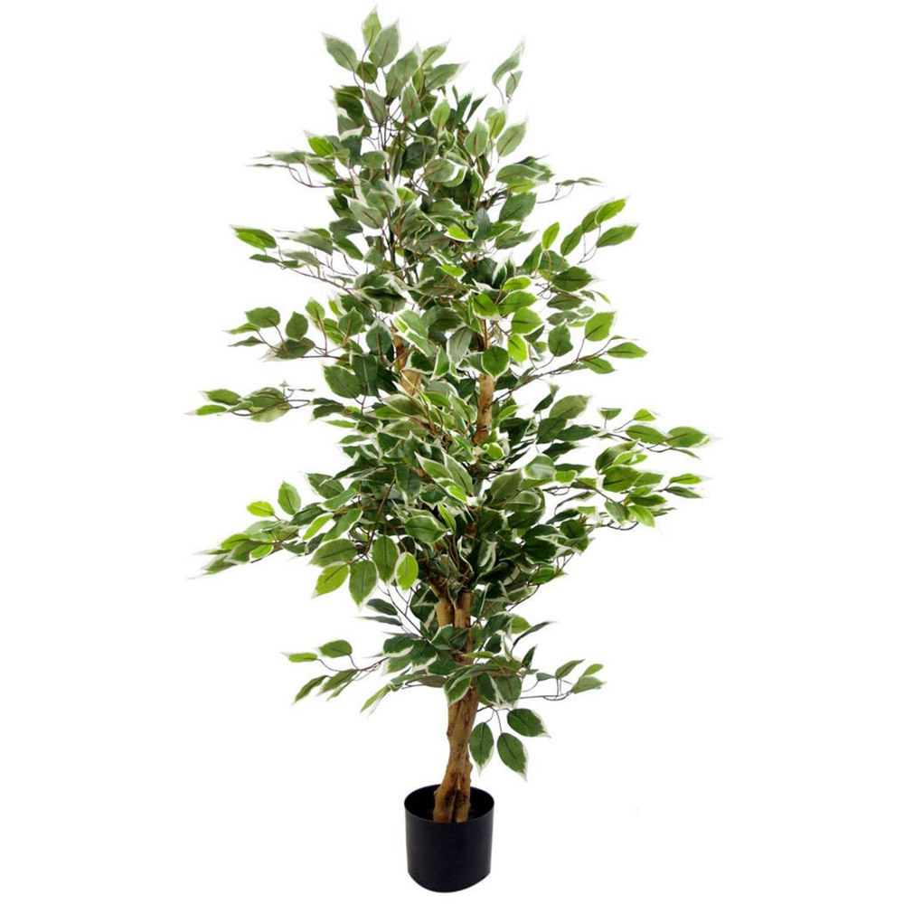 Leaf White Ficus Realistic Artificial Tree Pot 4.2ft Image