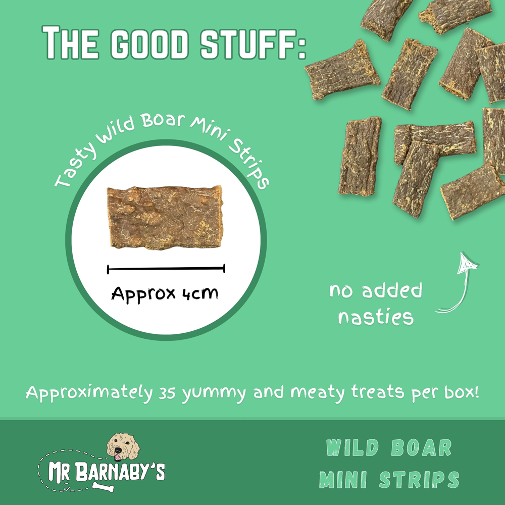 Mr Barnaby's Wild Boar Mini Strips Dog Treats 4 Pack Image 2