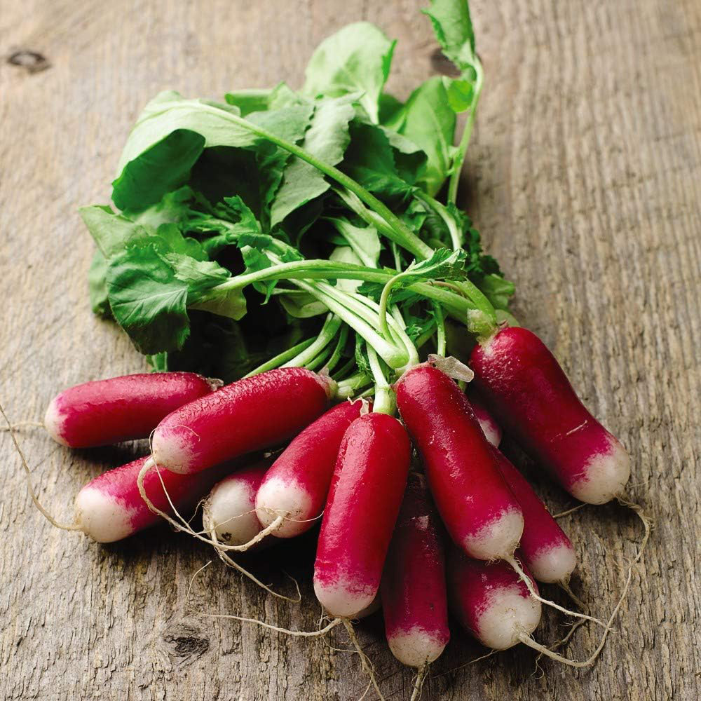 Thompson & Morgan Radish Flamboyant 3 300 Seeds Packet Image 1