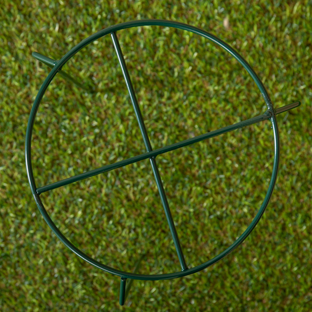 Samuel Alexander Dark Green Metal Herbaceous Plant Support 40 x 20cm Image 5