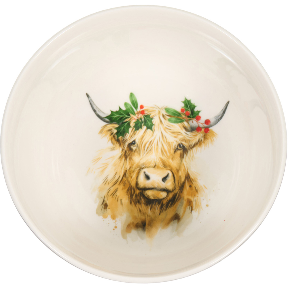 12 Piece Festive Frieda Dinner Set Image 5