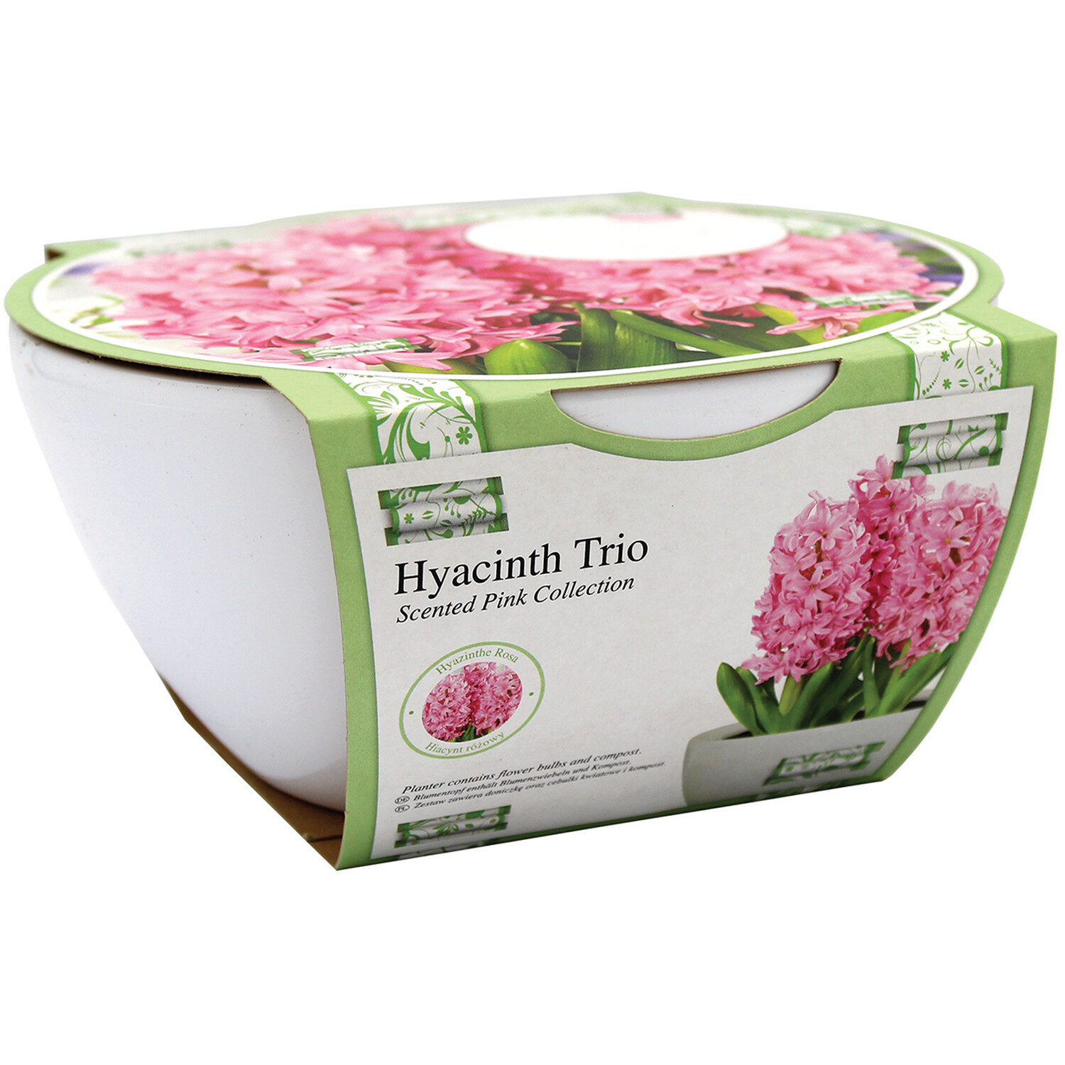 Hyacinth Bowl Grow Set  - White and Pink Image 2