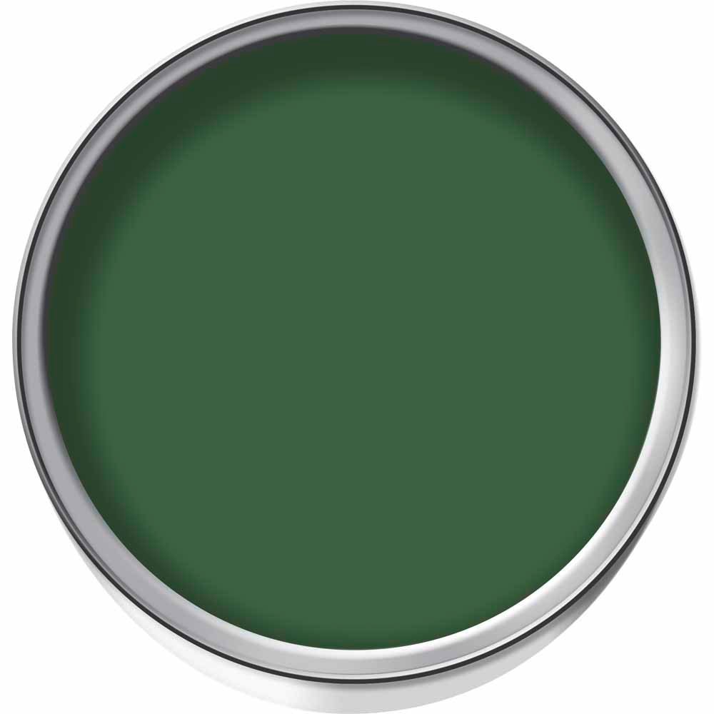 Wilko Evergreen Gloss Exterior Paint 750ml Image 4
