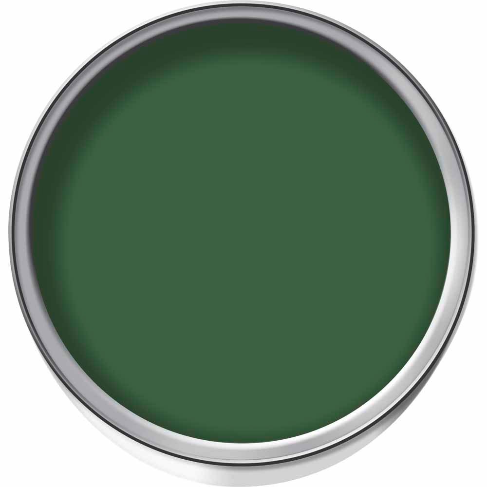 Wilko Evergreen Gloss Exterior Paint 750ml Wilko