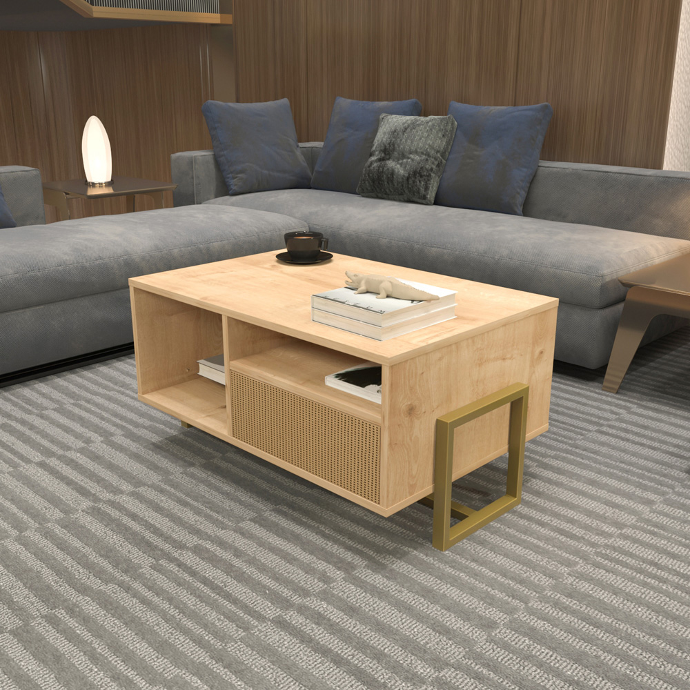 Decorotika Utopie 2 Door 2 Shelf Oak and Rattan Modern Coffee Table Image 4