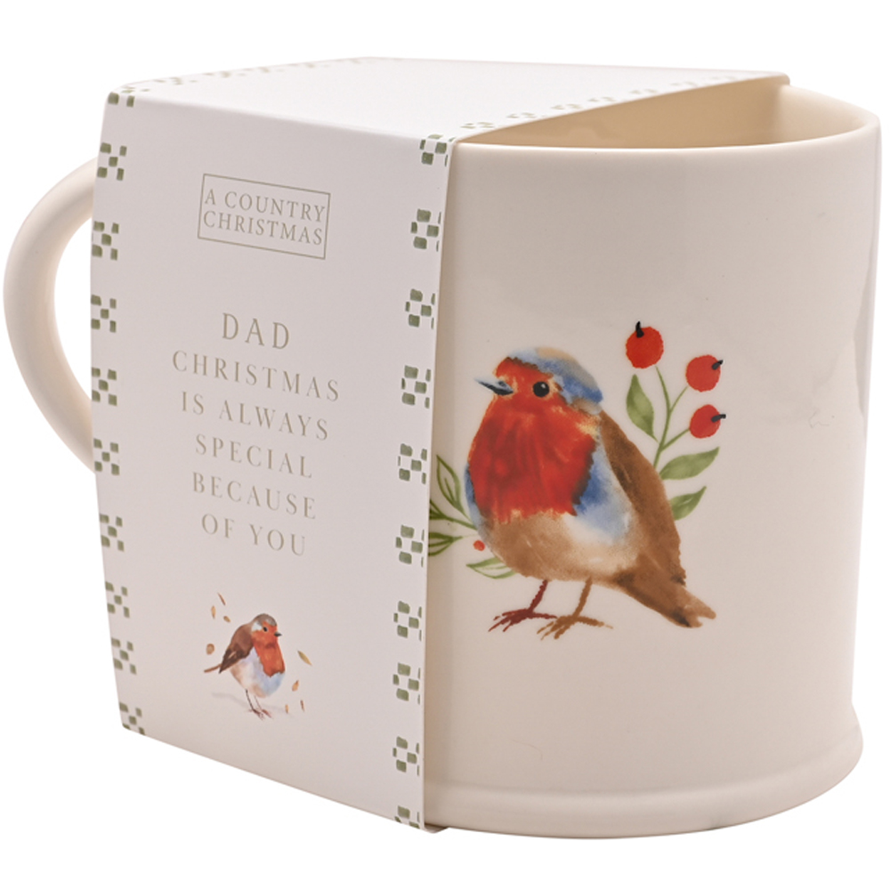 The Seasonal Gift Co. Robin Dad Mug Image 3