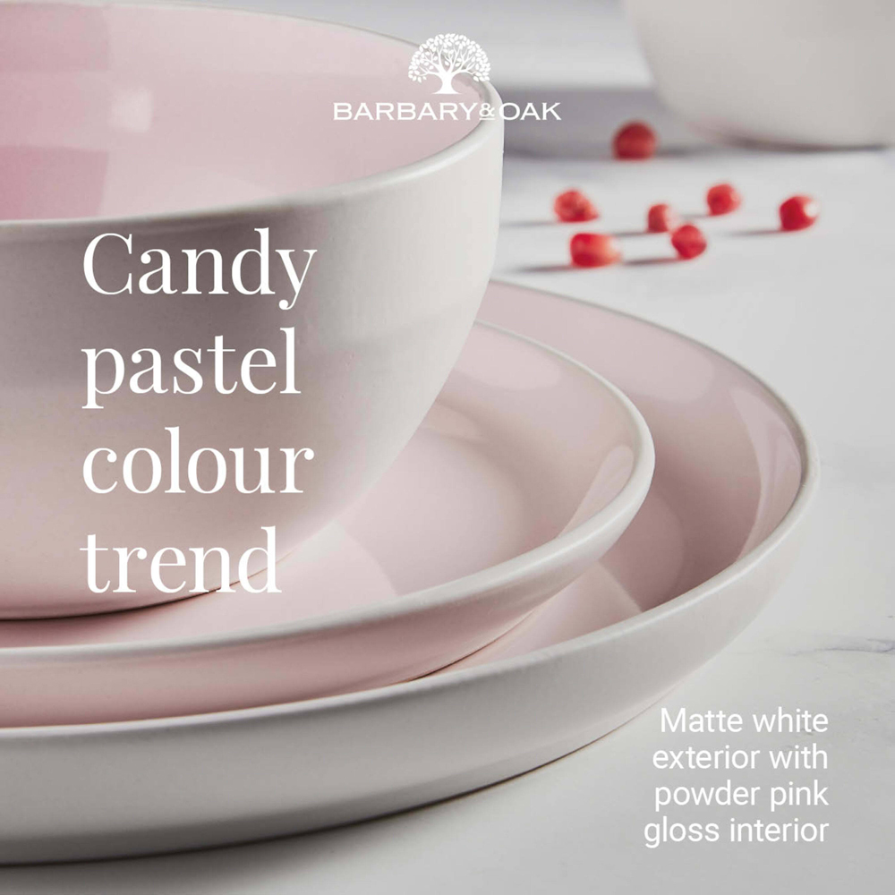 Barbary & Oak Oslo Pink 16 Piece Dinner Set Image 3