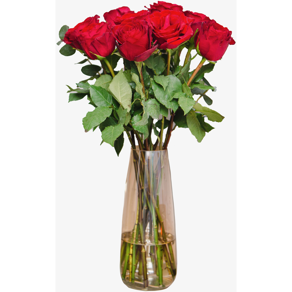 A Dozen Red Roses Flower Bouquet Image 2