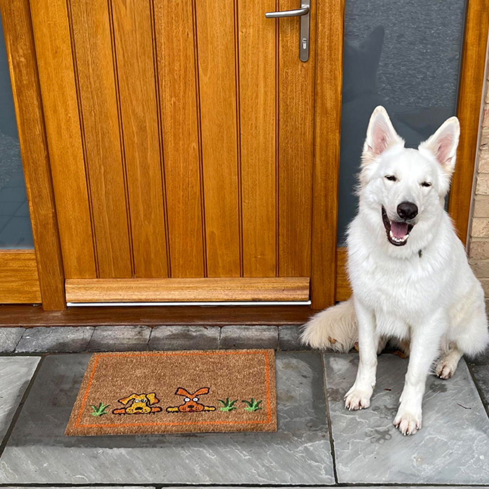 Coco & Coir Doggy Doggy Coir Door Mat 40 x 60cm Image 4