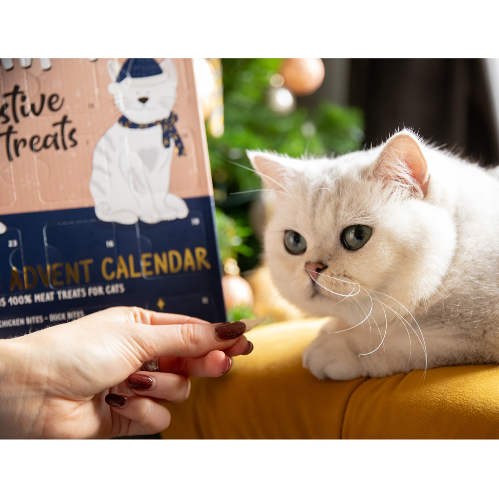 Luxury Deli Advent Calendar for Cats Image 7