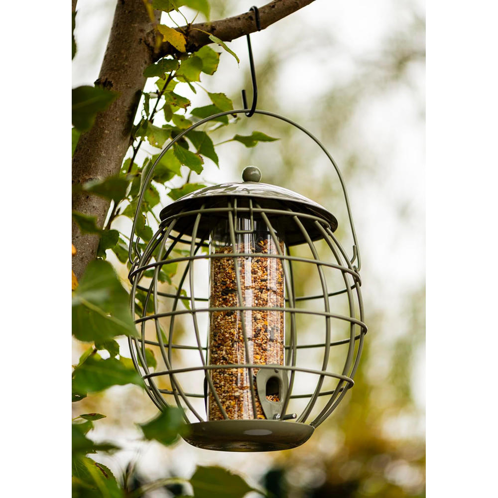 Thompson and Morgan Happy Beaks Orbital Squirrel Proof Seed Feeder Image 2