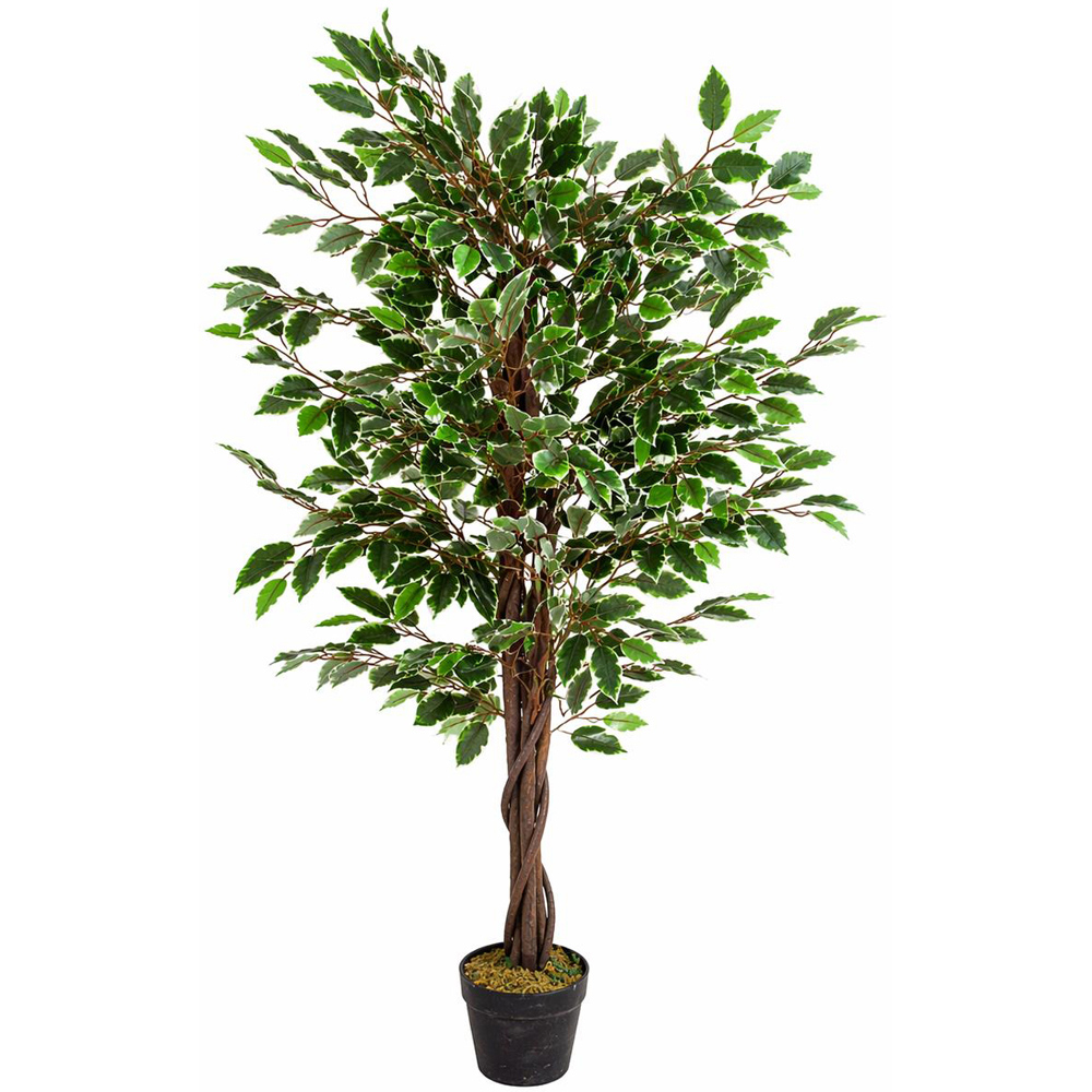 Leaf Ficus Artificial Plant in Pot 130cm Image