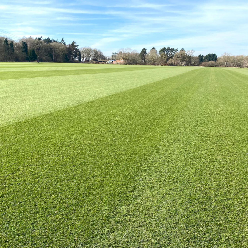 Inturf Grass Seed Bag 5kg Image 5