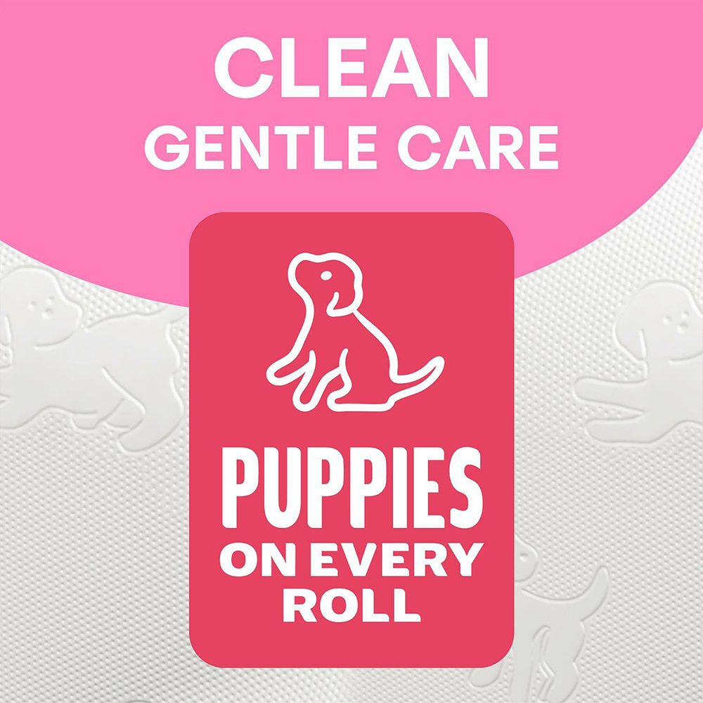Andrex Gentle Clean Toilet Tissue 24 Rolls 2 Ply Image 3