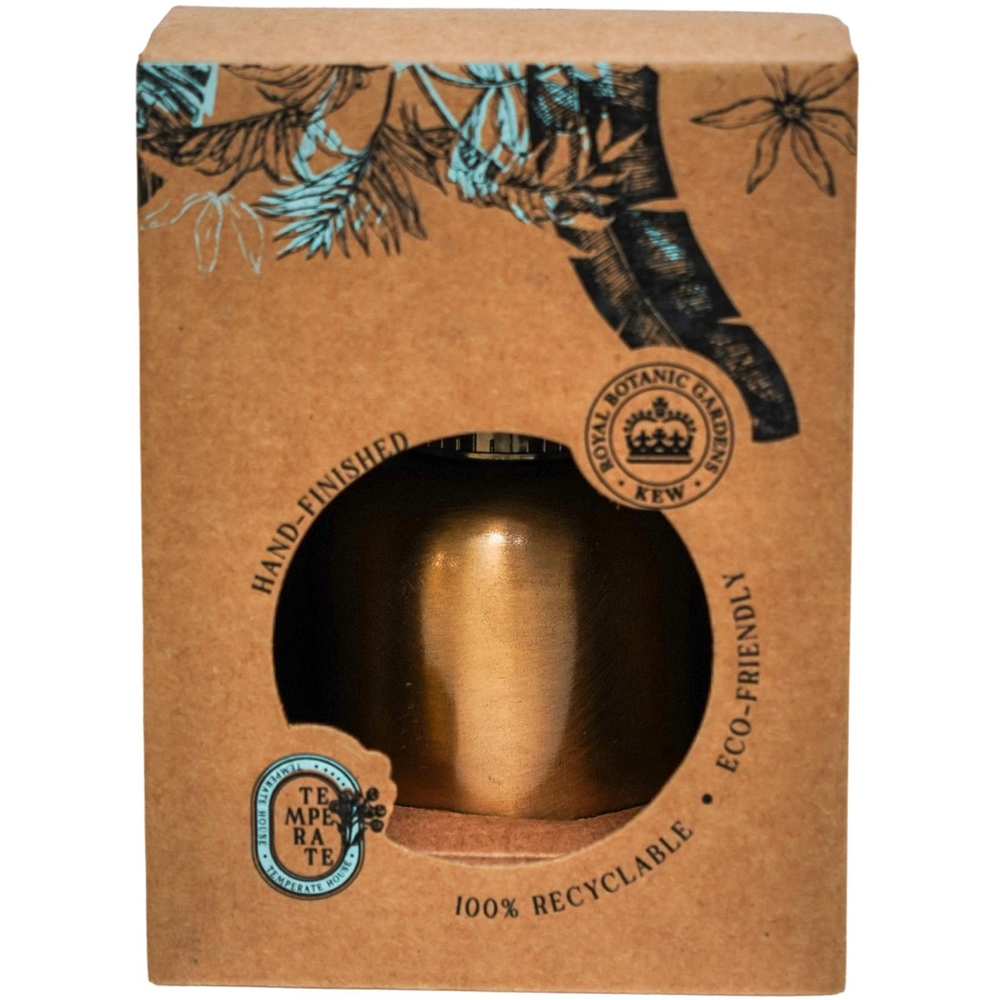 Ivyline Kew Matt Copper Plant Mister with Giftbox 14cm Image 3