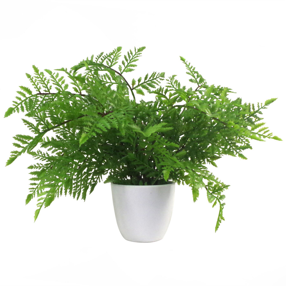 Leaf Artificial Southern Wood Fern in Pot 1ft Image 1