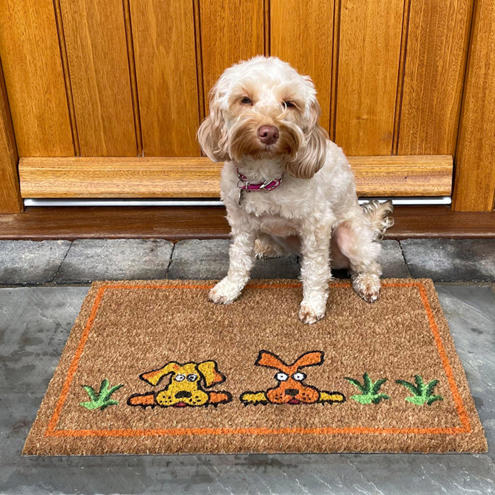 Coco & Coir Doggy Doggy Coir Door Mat 40 x 60cm Image 3