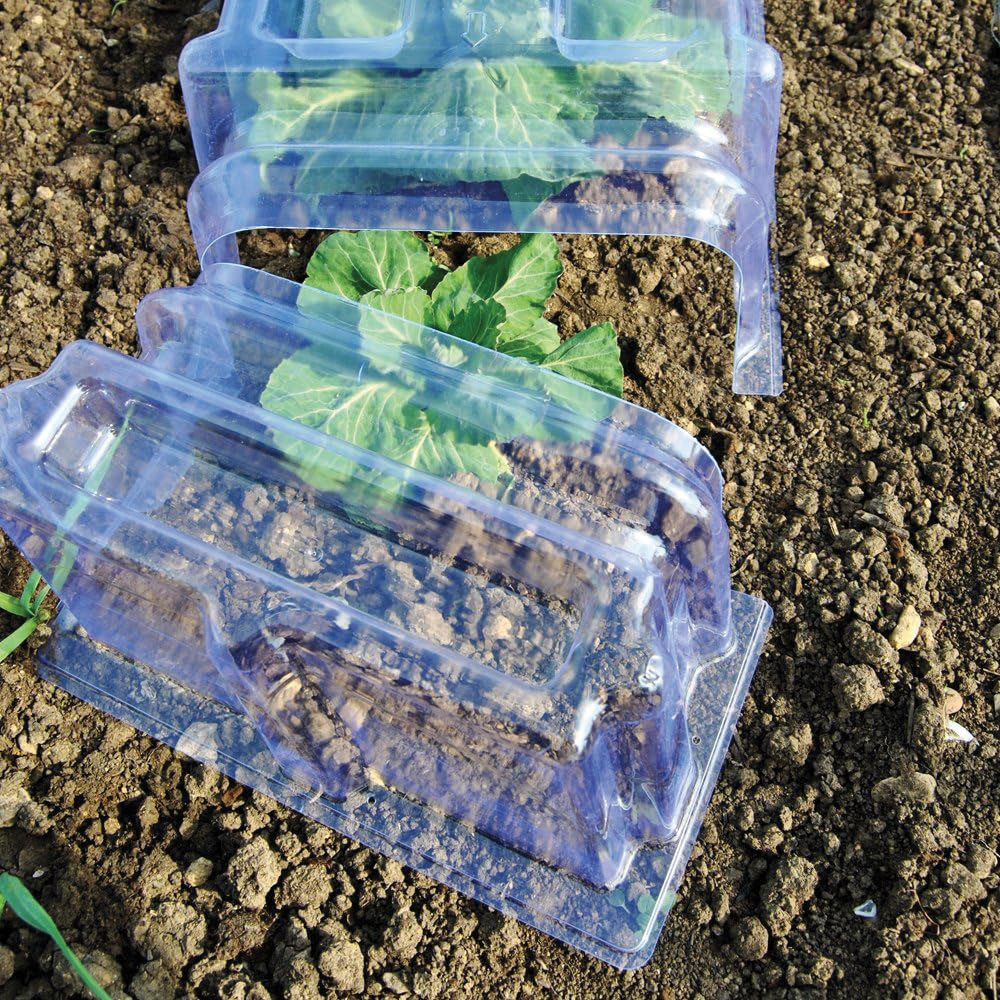 Thompson & Morgan Mini Greenhouse Garden Cloche 3 Pack 40 x 85cm Image 5