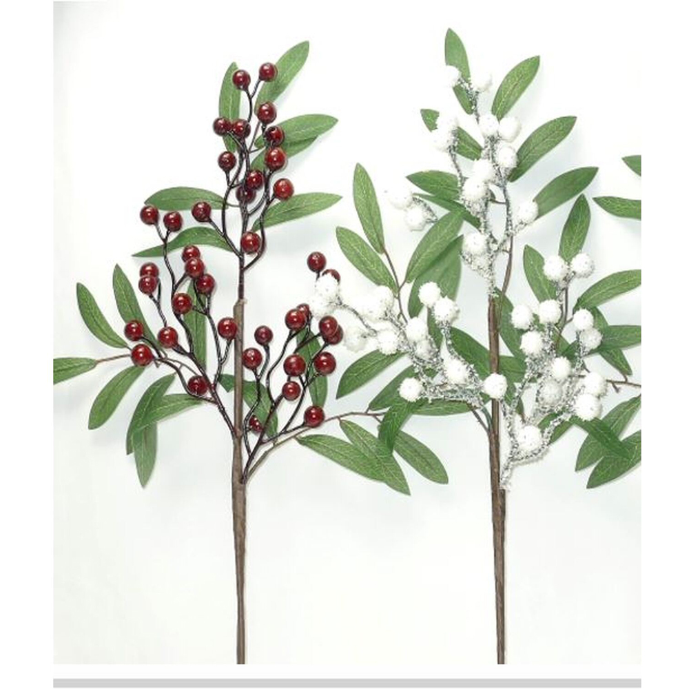Berry Pick Image 2