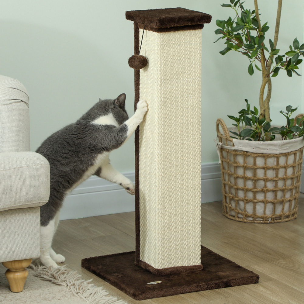 PawHut 81cm Brown Cat Scratching Post Image 5