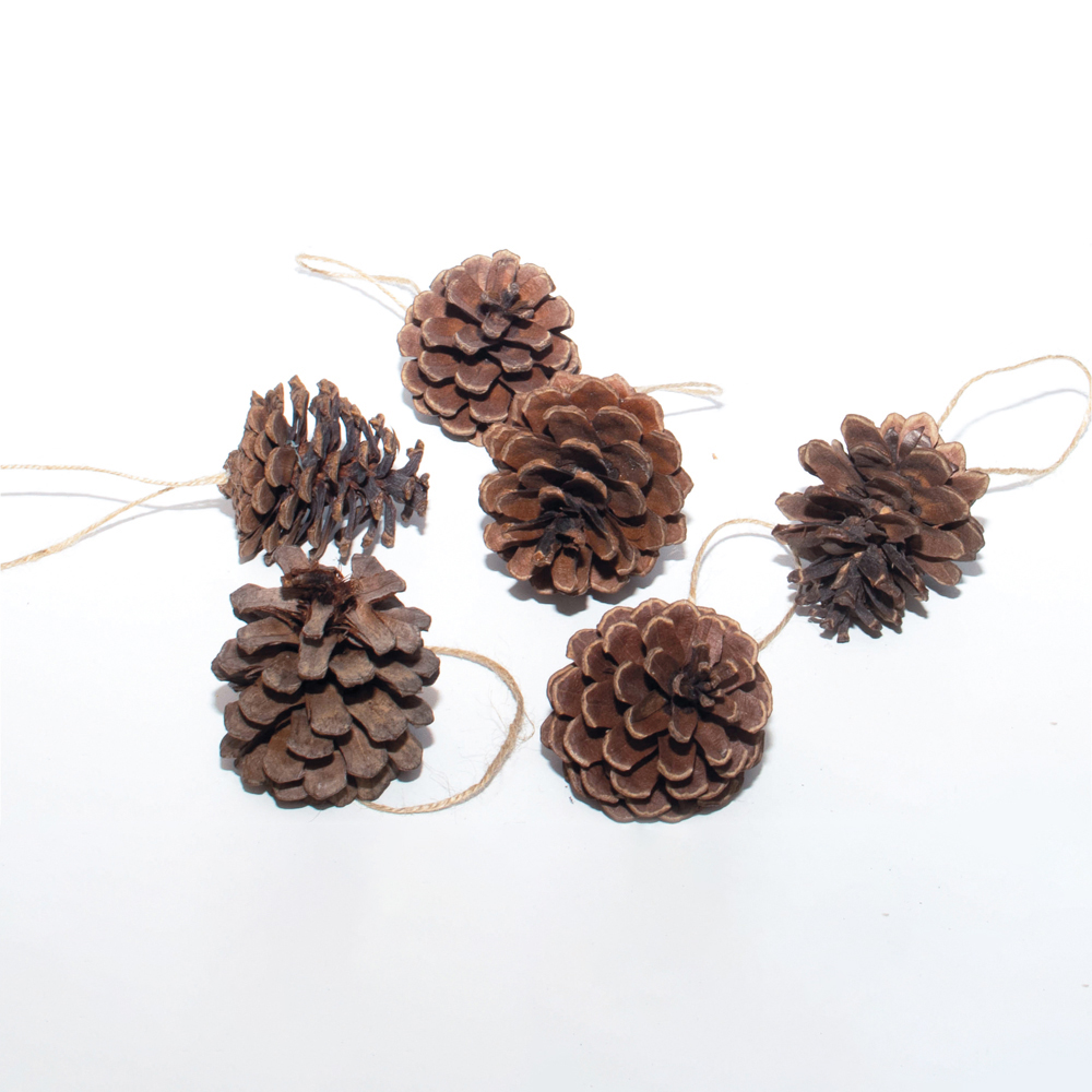 St Helens Brown Hanging Pinecones Ornaments 6 Pack Image 3