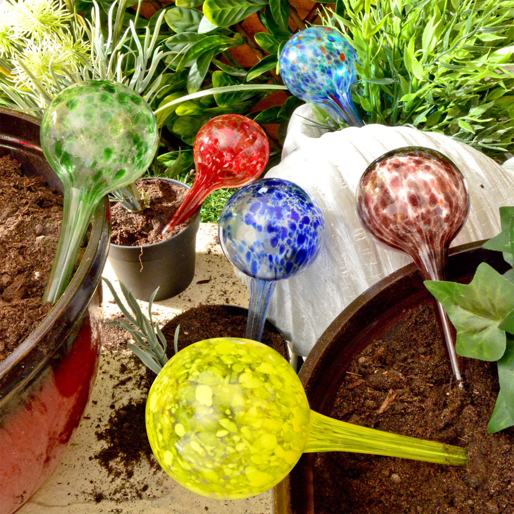 Avilo Multicoloured Glass Watering Sphere 6 Pack Image 2
