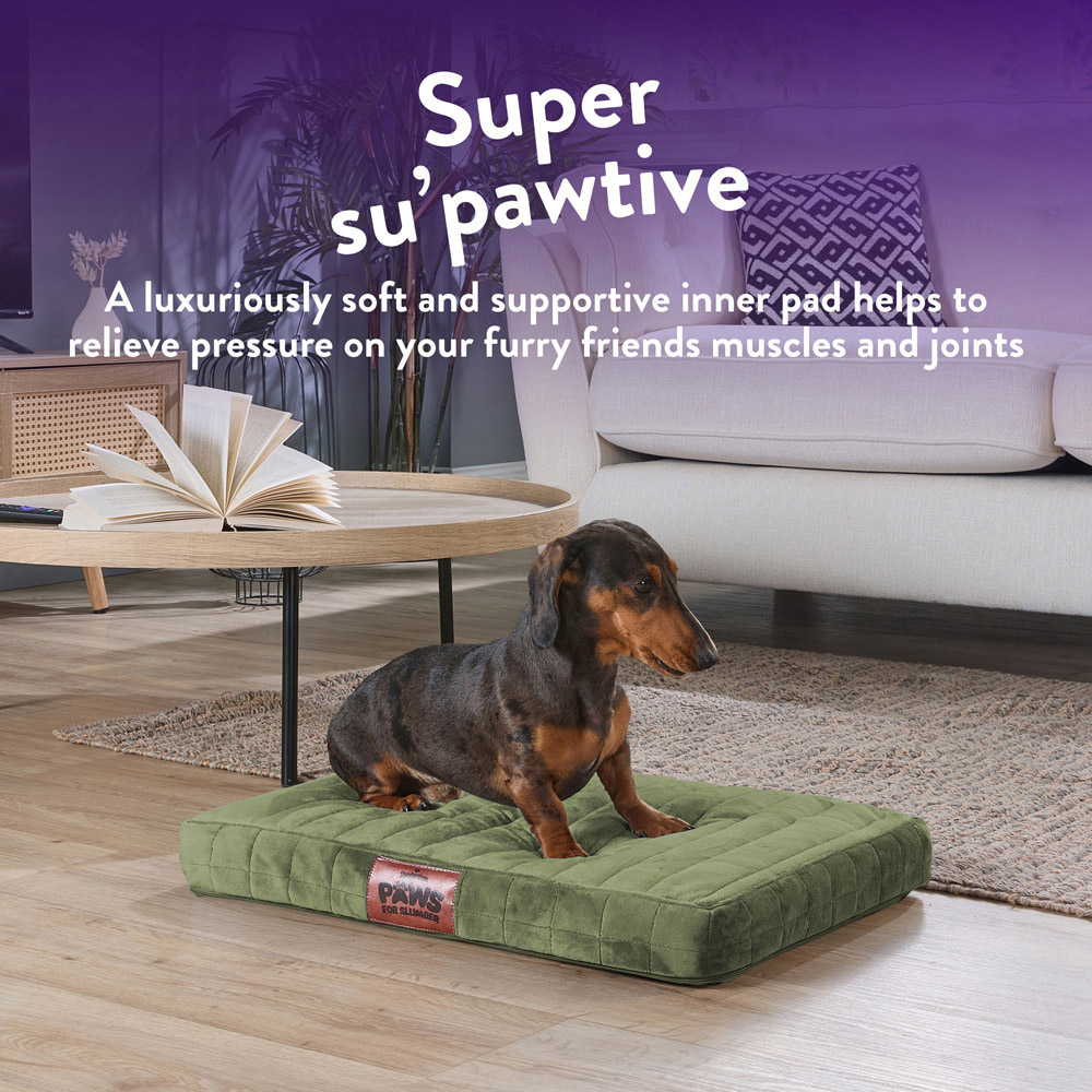 Slumberdown Medium Green Orthopaedic Pet Bed Image 3