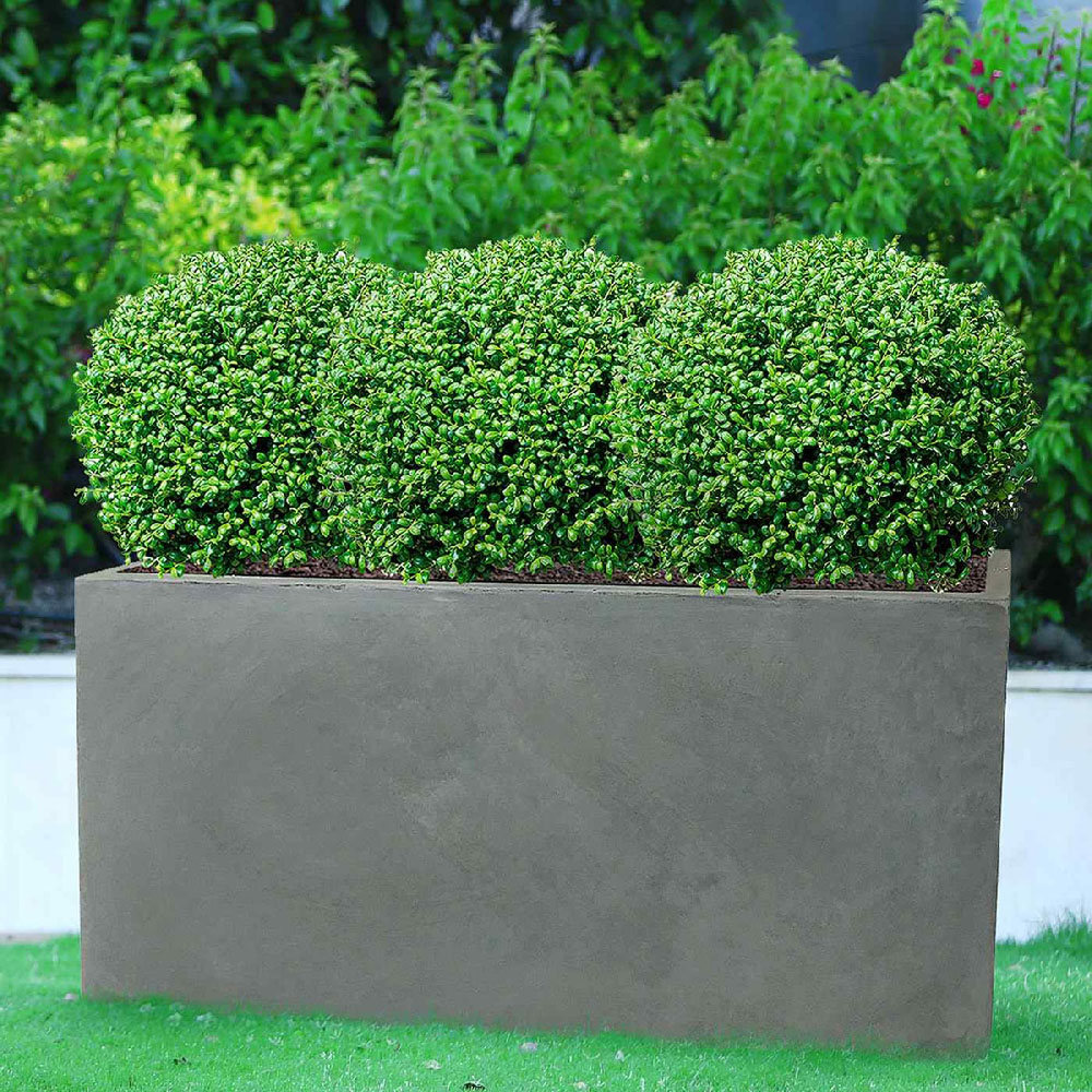 wilko Trough Grey Light Concrete Outdoor Planter 41cm Image 2