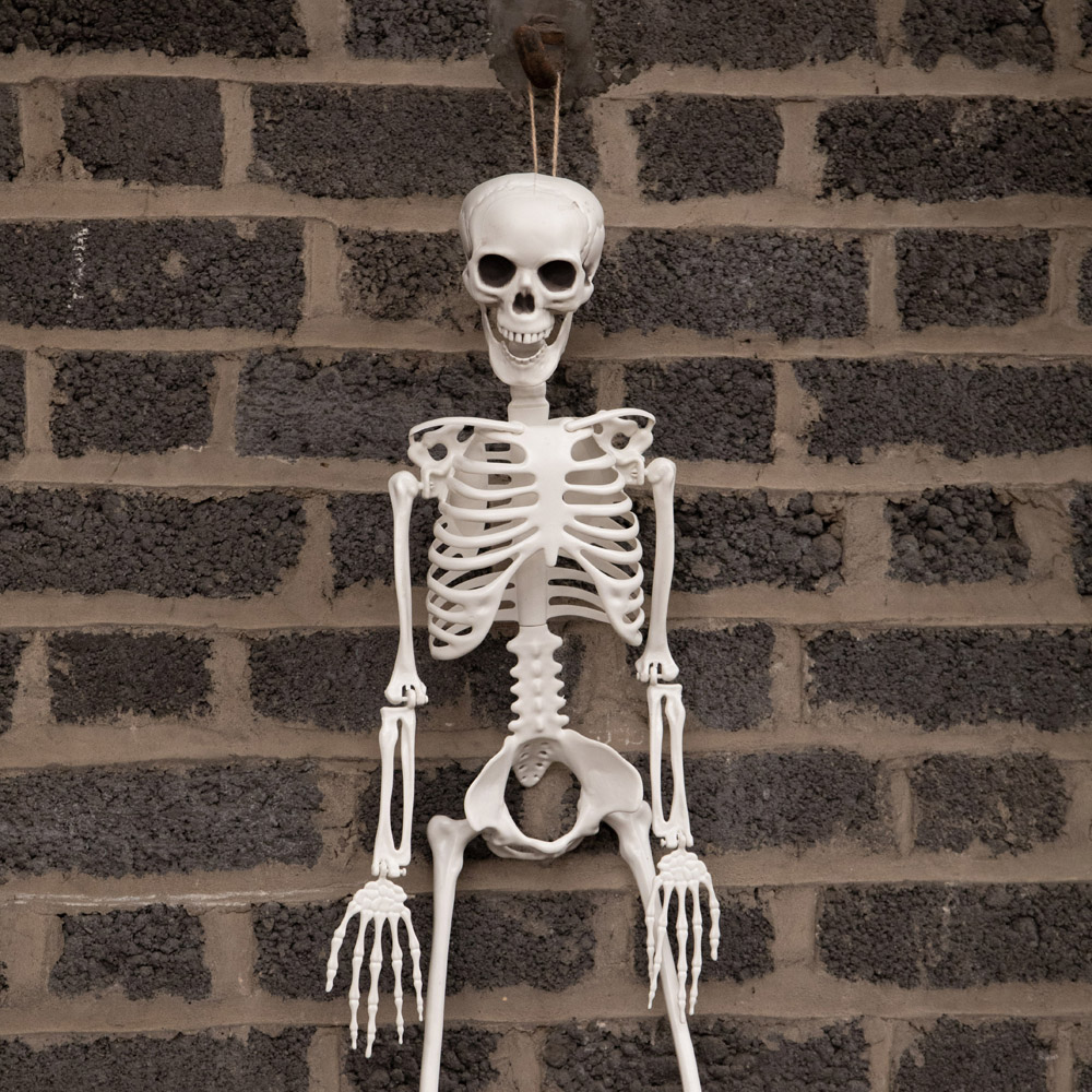Samuel Alexander Posable Full Body Skeleton Halloween Decoration 3ft Image 6