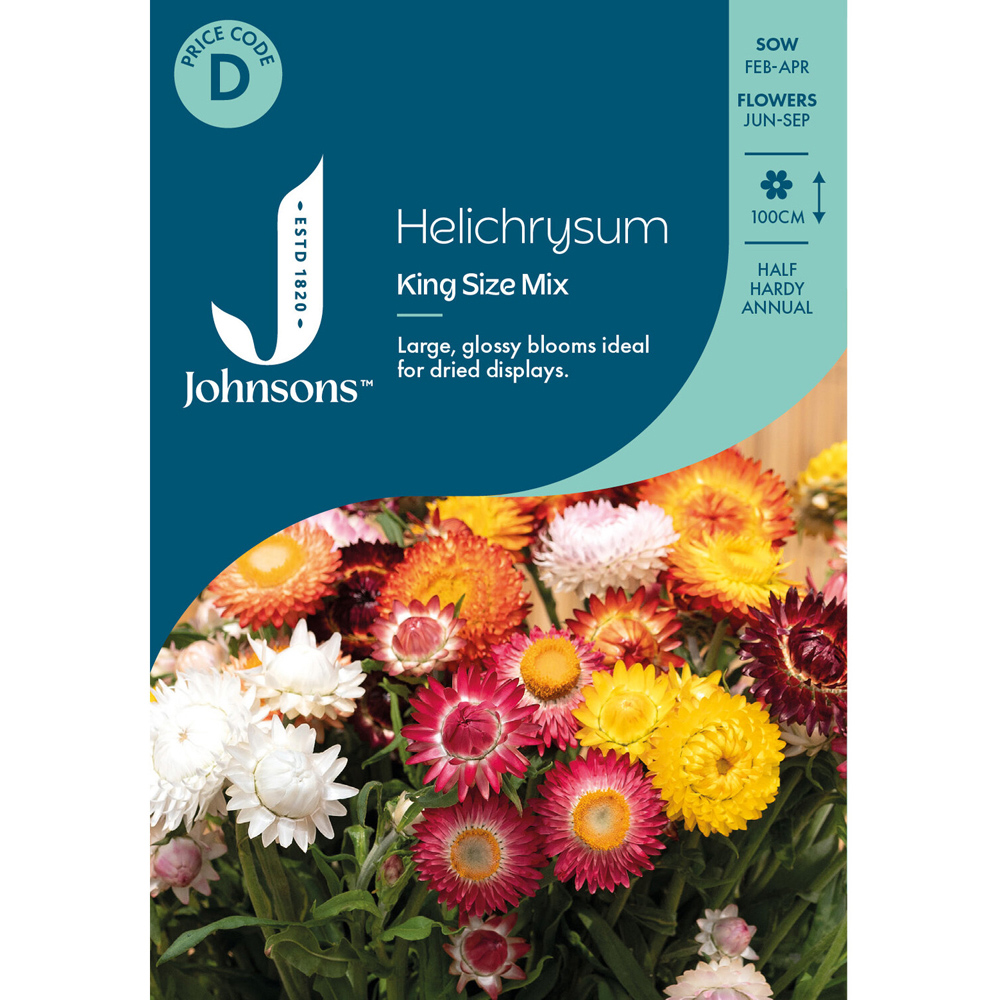 Pack of Helichrysum King Size Mixed Flower Seeds Image 1