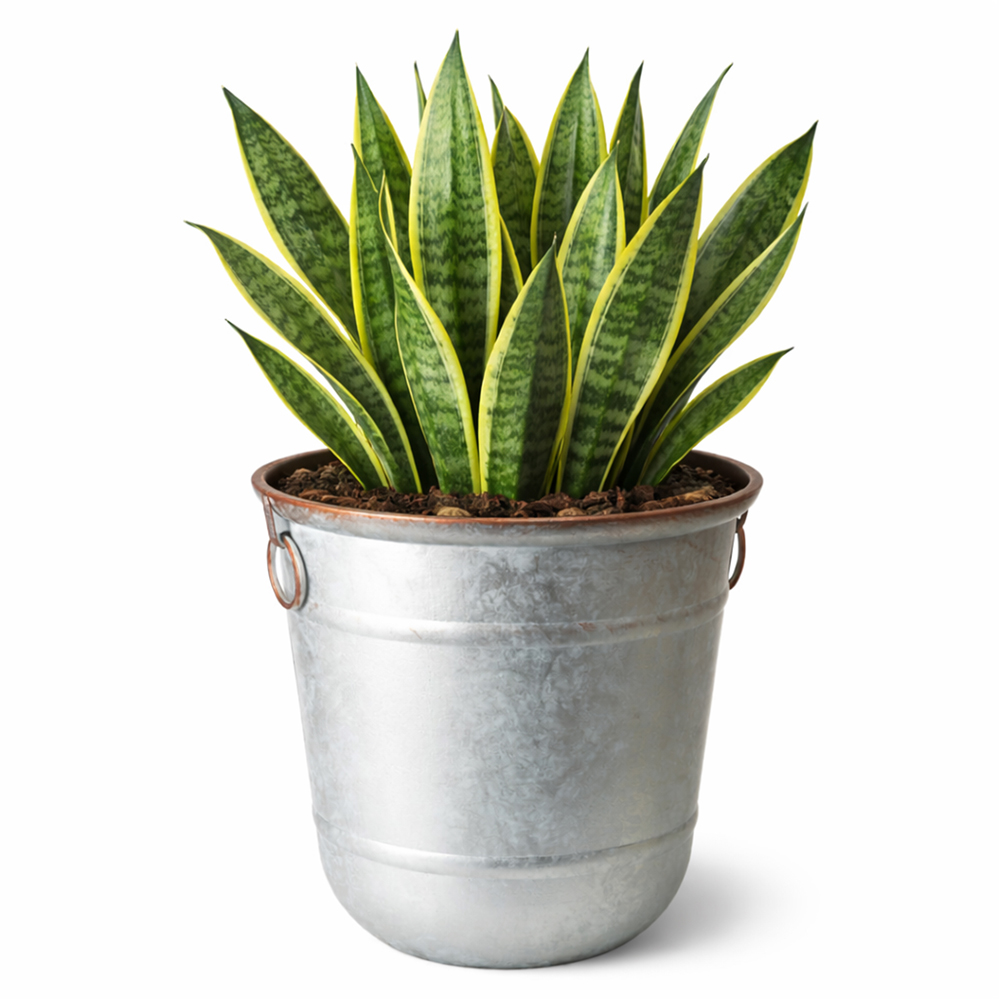 Jack Stonehouse Galvanised Steel and Copper Rim Effect Bucket Planter 32L Image 3