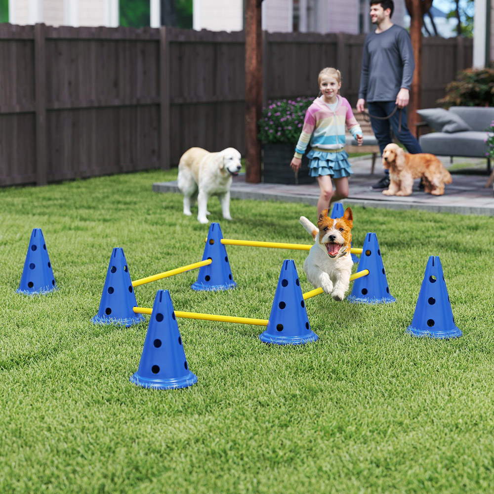 PawHut 8 Piece Blue Dog Agility Training Equipment Set Image 2