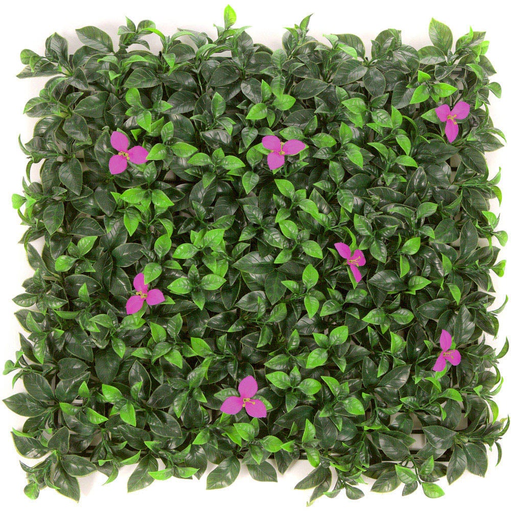 Pack of 12 50cm Pink Laurel Hedging Mat Image 1