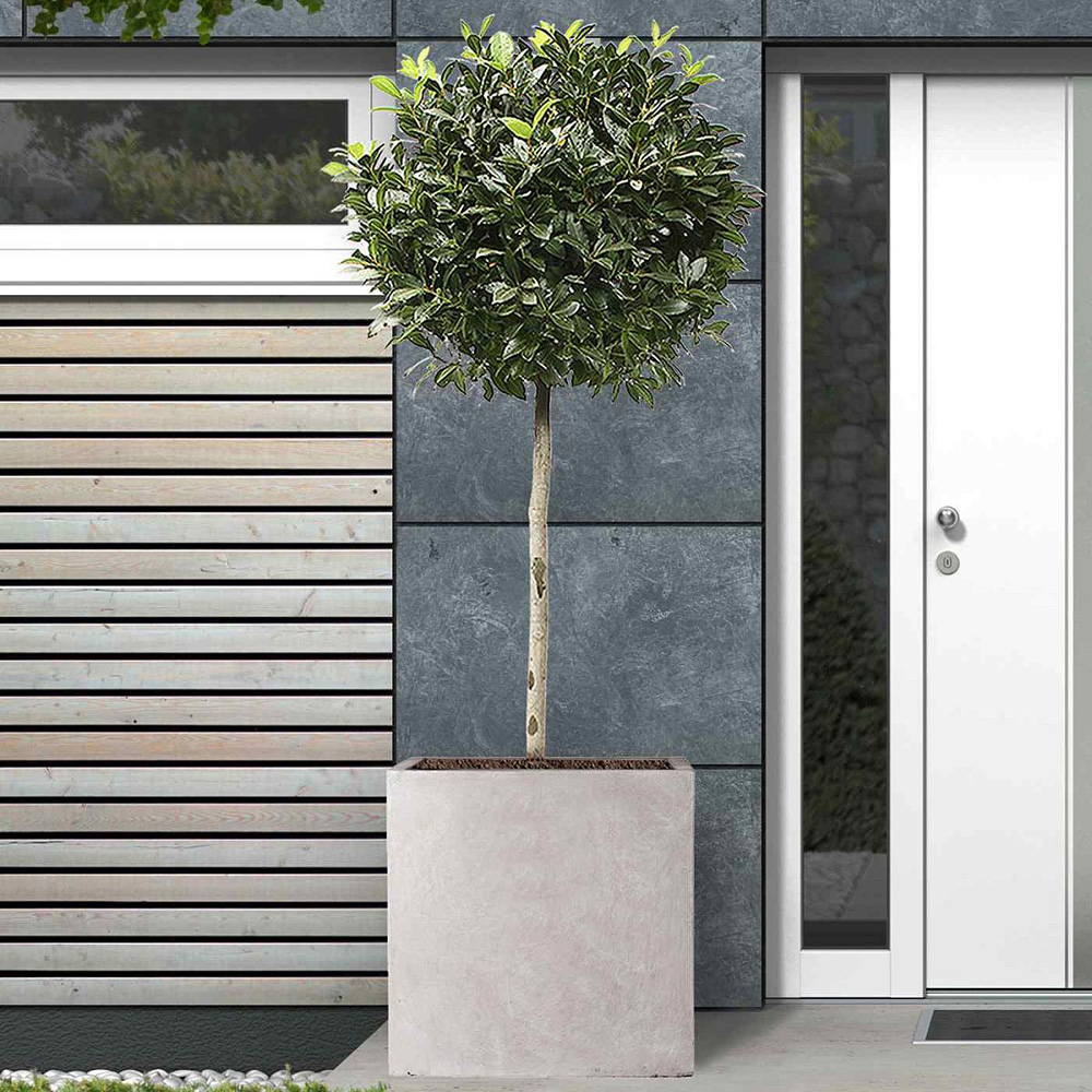 wilko Flower Box Grey Light Concrete Outdoor Planter 50cm Image 4