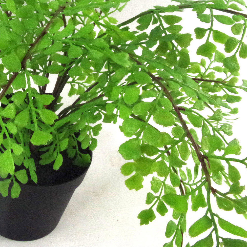 Botanik Maidenhair Fern Artificial Tree in Pot 35cm Image 2