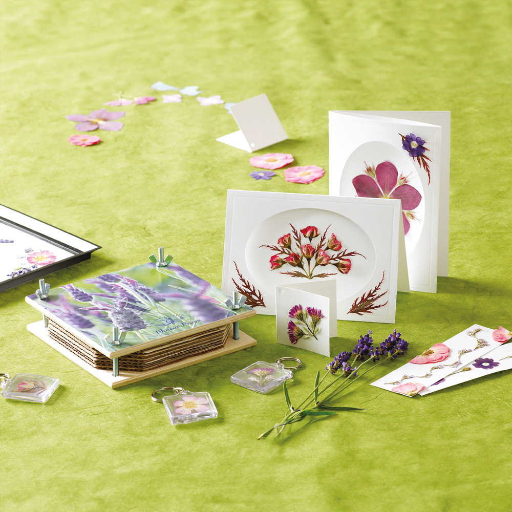 House of Crafts Multicoloured Flower Pressing Craft Kit Image 2
