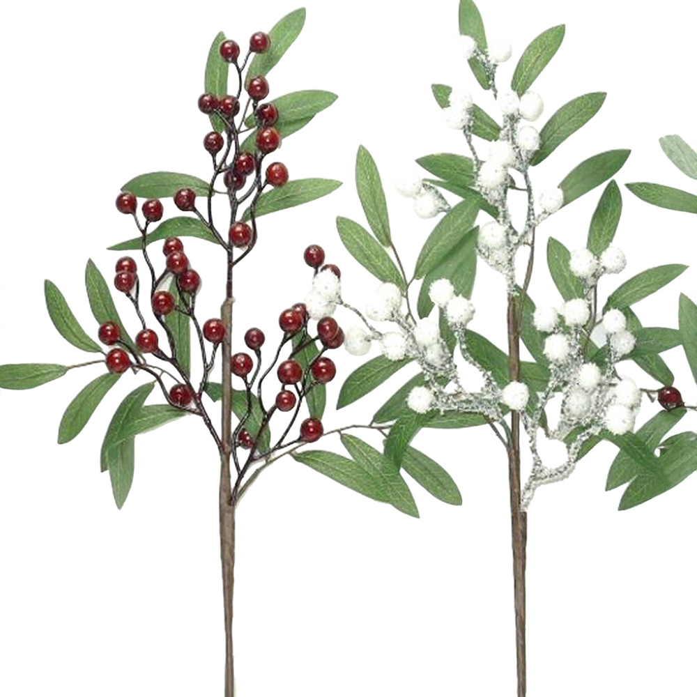 Berry Pick Image 1