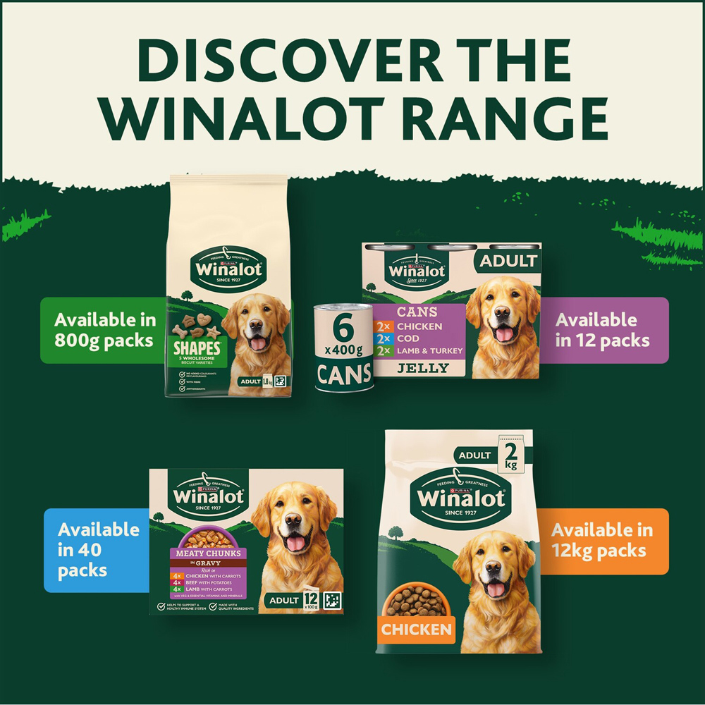 Winalot Complete Adult Dog Food Salmon Image 6