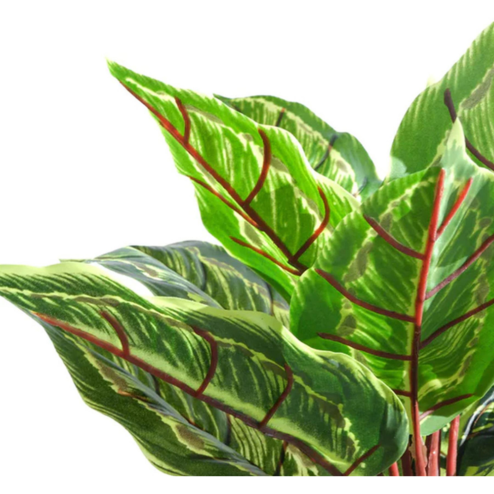 Leaf Calathea Veitchiana Artificial Plant in Pot 38cm Image 3