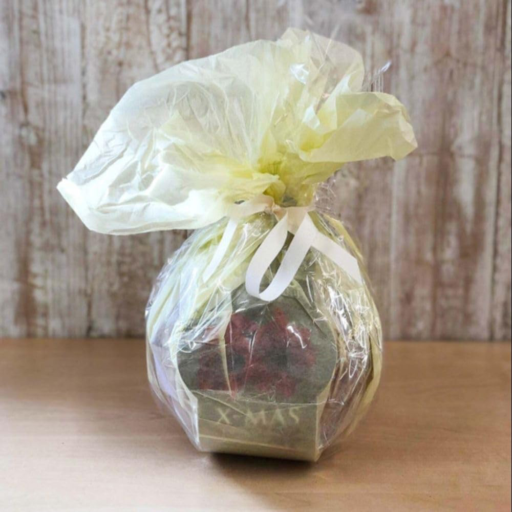 Thompson and Morgan Christmas Gift Red Amaryllis Bulb in Red Globe 2 Pack Image 5