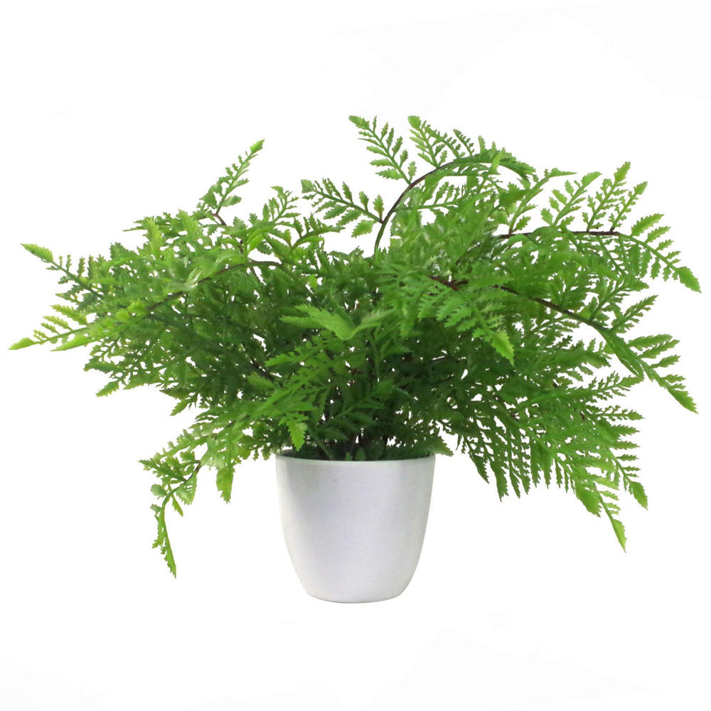 Leaf Fern Artificial Plant in Plastic Pot 1ft Image 1